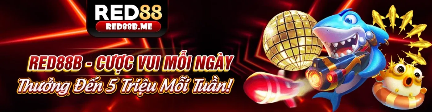 Chính sách Tuân thủ GDPR của shbet80 khuyến mãi